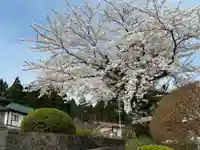 楽水亭 大龍寺(秋田県)