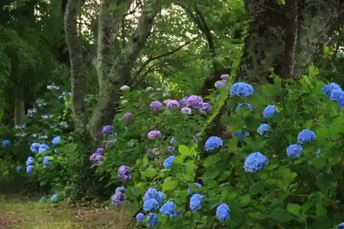 長屋神社の庭園