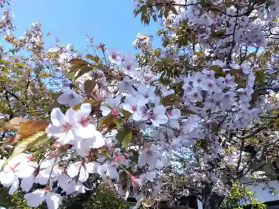 妙傳寺(京都府)