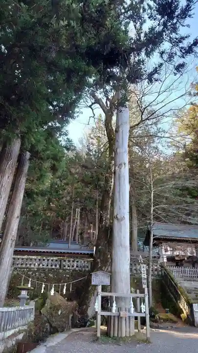 諏訪大社の自然