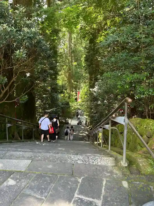 箱根神社の{uncategorized: "未分類", other: "その他", undefined: "問題あり", building: "その他建物", grave: "お墓", sacred_gate: "鳥居", guardian: "狛犬", statue: "像", buddha: "仏像", history: "歴史", nature: "自然", garden: "庭園", animal: "動物", pagoda: "塔", temizu: "手水舎", mountain_gate: "山門・神門", sanctuary: "本殿・本堂", subordinate: "末社・摂社", art: "芸術", scenery: "景色", jizo: "地蔵", ema: "絵馬", goshuin: "御朱印", omikuji: "おみくじ", items: "授与品その他", amulet: "お守り", goshuincho: "御朱印帳", eats: "食事", festival: "お祭り", votive_dance: "神楽", shichigosan: "七五三参", wedding: "結婚式", experience: "体験その他", initially: "初詣", around: "周辺", anti_infection: "感染症対策"}