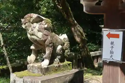 伊奈波神社(岐阜県)