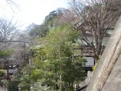 常照寺(神奈川県)