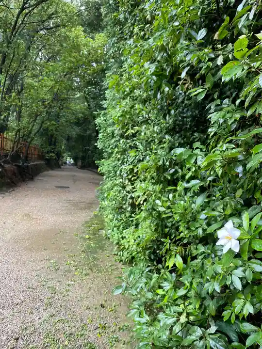 唐招提寺のその他建物