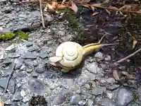 加茂神社(福井県)