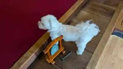 本昌寺(京都府)