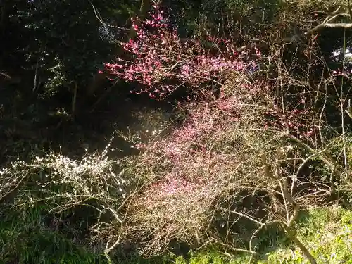 妙本寺の景色