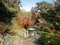 矢田寺(奈良県)