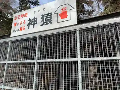 日吉大社(滋賀県)