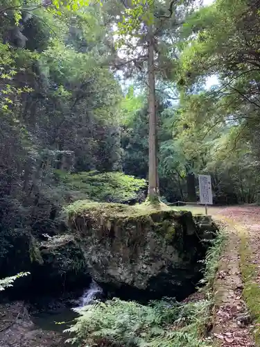 韓竈神社の自然