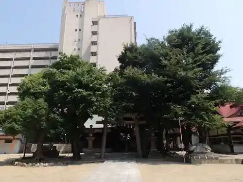 菅原神社の自然