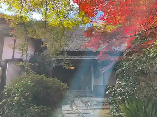 直指庵(京都府)