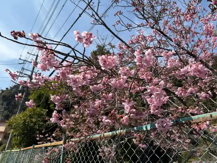 松尾大社の{uncategorized: "未分類", other: "その他", undefined: "問題あり", building: "その他建物", grave: "お墓", sacred_gate: "鳥居", guardian: "狛犬", statue: "像", buddha: "仏像", history: "歴史", nature: "自然", garden: "庭園", animal: "動物", pagoda: "塔", temizu: "手水舎", mountain_gate: "山門・神門", sanctuary: "本殿・本堂", subordinate: "末社・摂社", art: "芸術", scenery: "景色", jizo: "地蔵", ema: "絵馬", goshuin: "御朱印", omikuji: "おみくじ", items: "授与品その他", amulet: "お守り", goshuincho: "御朱印帳", eats: "食事", festival: "お祭り", votive_dance: "神楽", shichigosan: "七五三参", wedding: "結婚式", experience: "体験その他", initially: "初詣", around: "周辺", anti_infection: "感染症対策"}