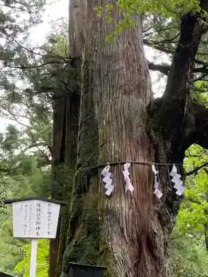 日光二荒山神社(栃木県)