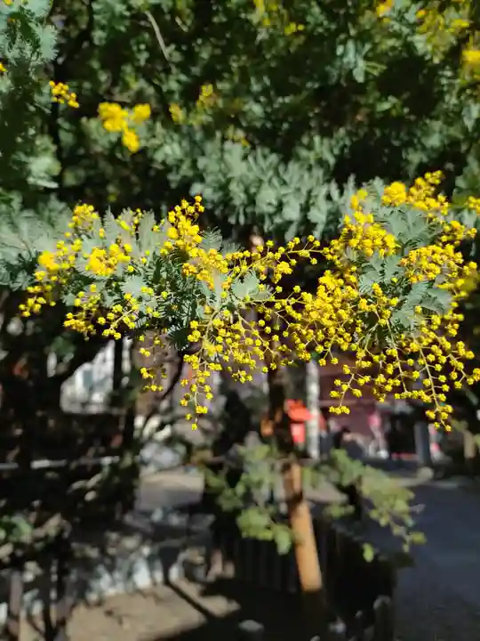 蔵前神社(東京都)