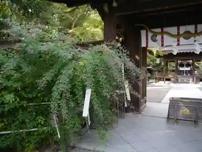 梨木神社のその他建物