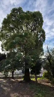 間眠神社(静岡県)