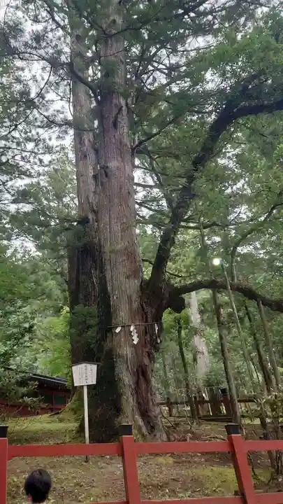日光二荒山神社(栃木県)