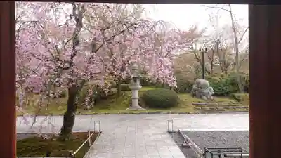 将軍塚青龍殿（青蓮院門跡）のその他建物