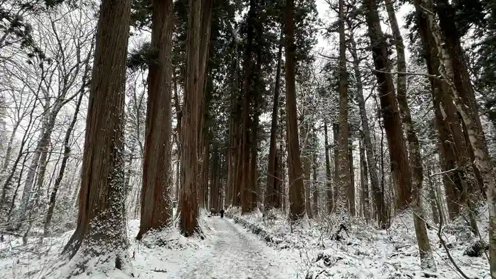 戸隠神社九頭龍社(長野県)