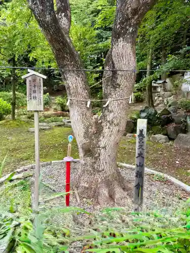 玉鉾神社(愛知県)
