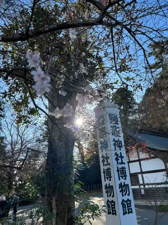 志波彦神社・鹽竈神社(宮城県)