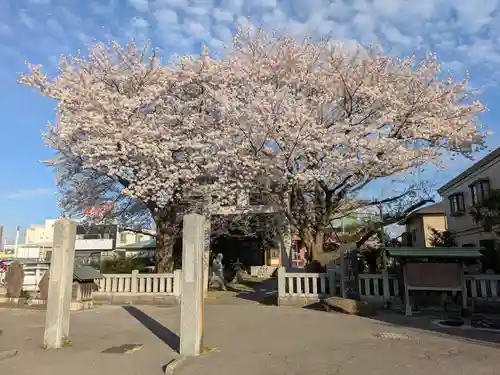 北星神社(千葉県)