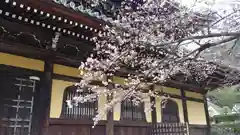 南禅寺の本殿