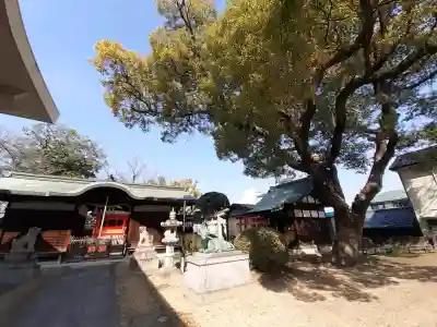 丹南天満宮の{uncategorized: "未分類", other: "その他", undefined: "問題あり", building: "その他建物", grave: "お墓", sacred_gate: "鳥居", guardian: "狛犬", statue: "像", buddha: "仏像", history: "歴史", nature: "自然", garden: "庭園", animal: "動物", pagoda: "塔", temizu: "手水舎", mountain_gate: "山門・神門", sanctuary: "本殿・本堂", subordinate: "末社・摂社", art: "芸術", scenery: "景色", jizo: "地蔵", ema: "絵馬", goshuin: "御朱印", omikuji: "おみくじ", items: "授与品その他", amulet: "お守り", goshuincho: "御朱印帳", eats: "食事", festival: "お祭り", votive_dance: "神楽", shichigosan: "七五三参", wedding: "結婚式", experience: "体験その他", initially: "初詣", around: "周辺", anti_infection: "感染症対策"}