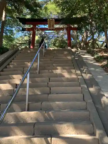 氷川女體神社の鳥居