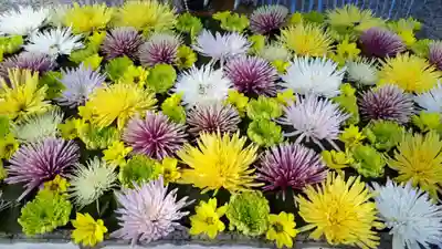 長良神社の手水舎