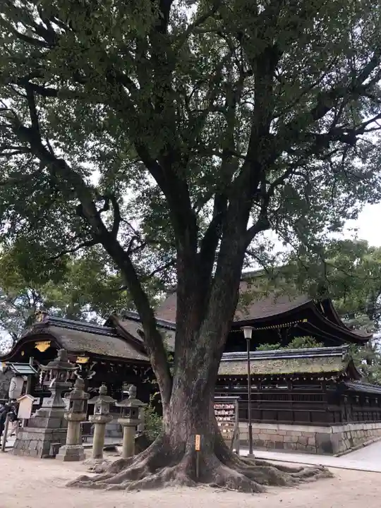 藤森神社の自然