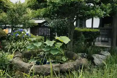 極楽寺（霊鷲山感應院極楽律寺）(神奈川県)