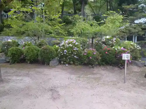 木華佐久耶比咩神社の庭園