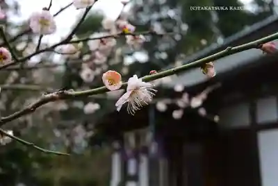 永谷天満宮(神奈川県)