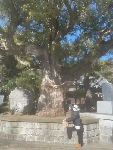 鶴谷八幡宮(千葉県)