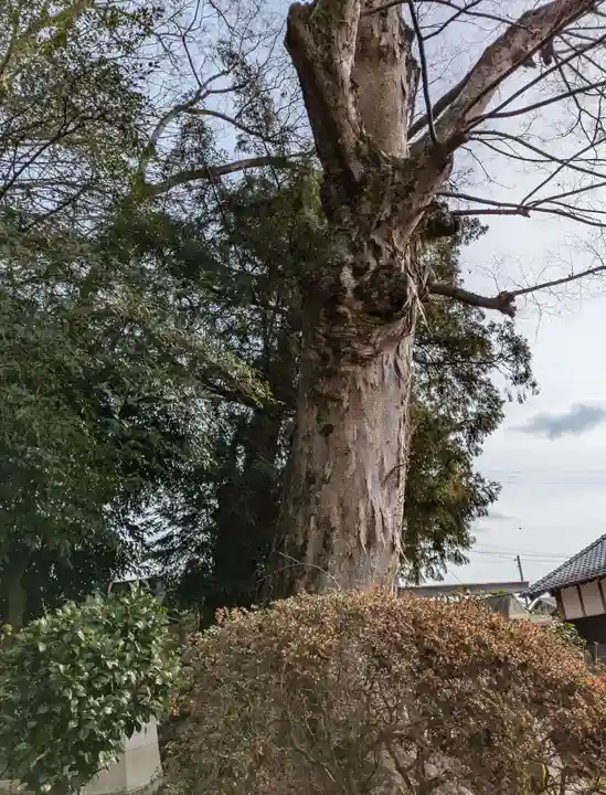 神戸神社(三重県)