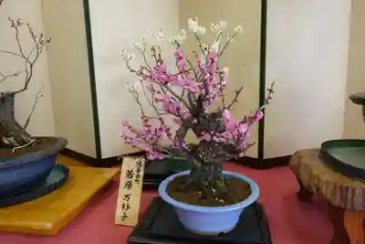 菅原天満宮(菅原神社)の芸術