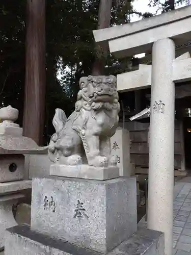 立志神社の狛犬