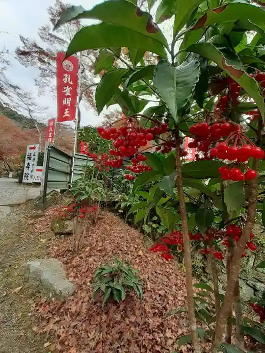 正暦寺(奈良県)