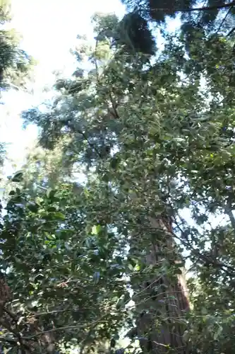 金鑚神社の自然