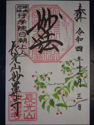 御朱印　＜ソヨゴ＞
