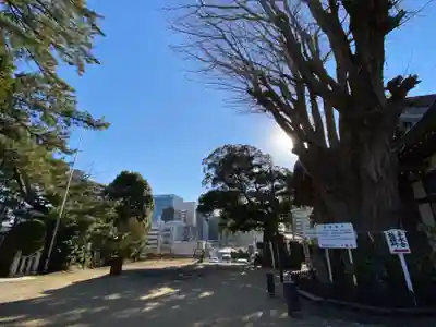登渡神社のその他建物