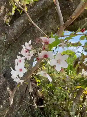 萬祥山常福寺(愛知県)