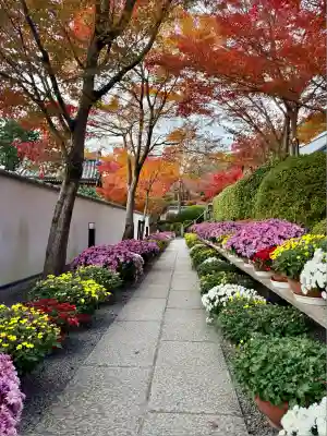 宝徳寺(群馬県)