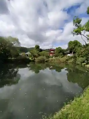 大覚寺(京都府)