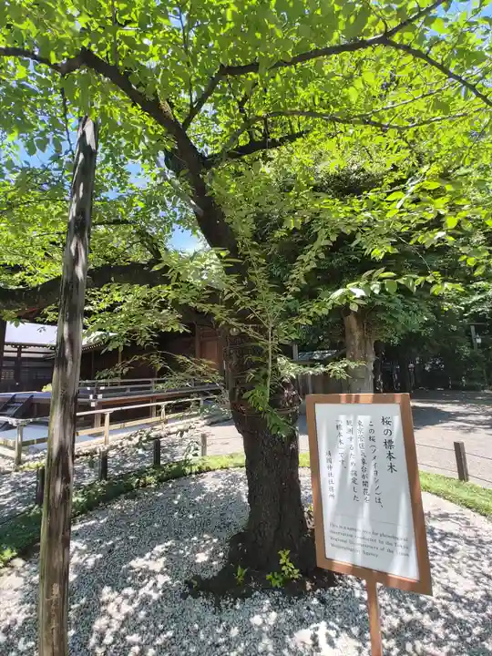 靖國神社(東京都)