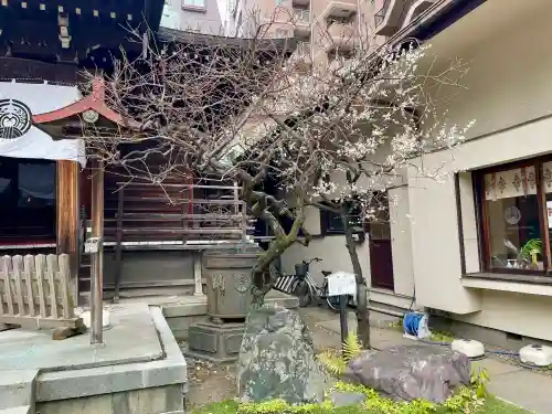 千束稲荷神社の{uncategorized: "未分類", other: "その他", undefined: "問題あり", building: "その他建物", grave: "お墓", sacred_gate: "鳥居", guardian: "狛犬", statue: "像", buddha: "仏像", history: "歴史", nature: "自然", garden: "庭園", animal: "動物", pagoda: "塔", temizu: "手水舎", mountain_gate: "山門・神門", sanctuary: "本殿・本堂", subordinate: "末社・摂社", art: "芸術", scenery: "景色", jizo: "地蔵", ema: "絵馬", goshuin: "御朱印", omikuji: "おみくじ", items: "授与品その他", amulet: "お守り", goshuincho: "御朱印帳", eats: "食事", festival: "お祭り", votive_dance: "神楽", shichigosan: "七五三参", wedding: "結婚式", experience: "体験その他", initially: "初詣", around: "周辺", anti_infection: "感染症対策"}