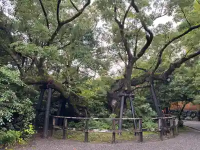 伊勢神宮外宮（豊受大神宮）(三重県)