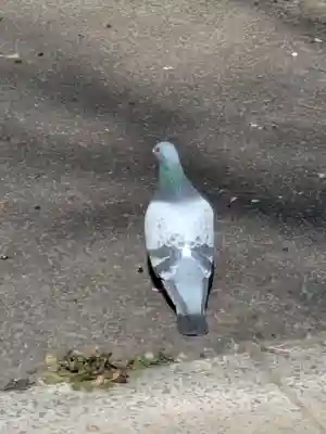 中川氷川神社(東京都)